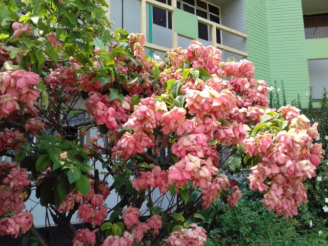 20180530_133755.jpg