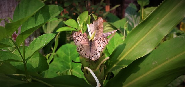 20201216_124132.jpg