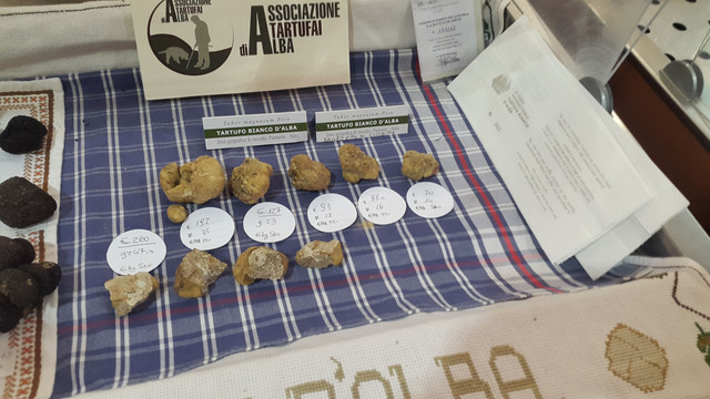Truffel Fair