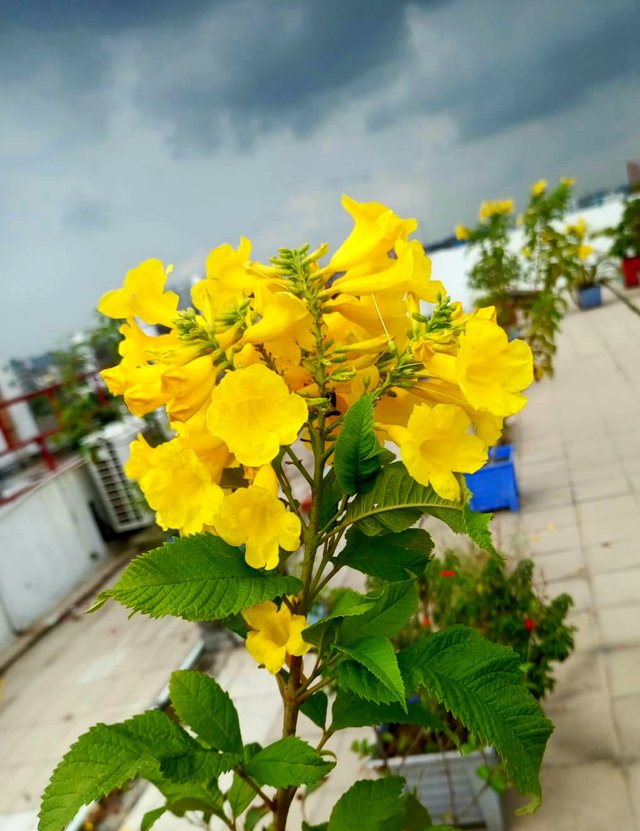 20220906_001932.jpg