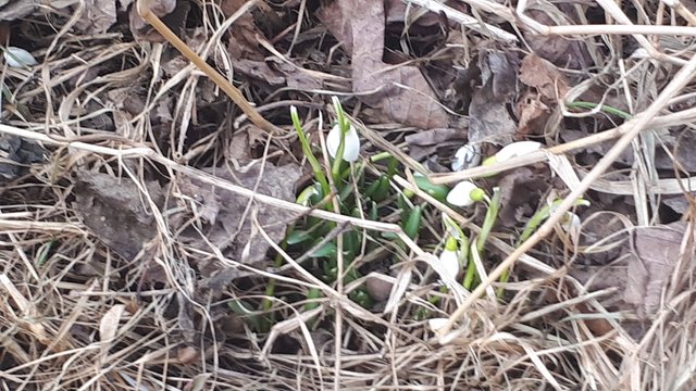 20210406_163054.jpg