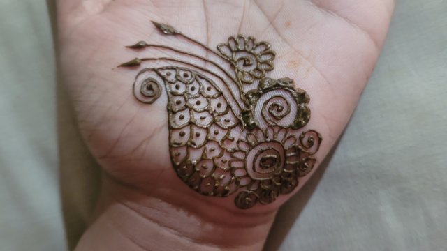 20241114_115203.jpg