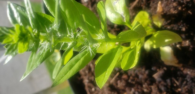 20190930_142624.jpg