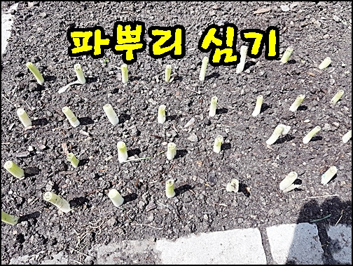 20180512_130056.jpg
