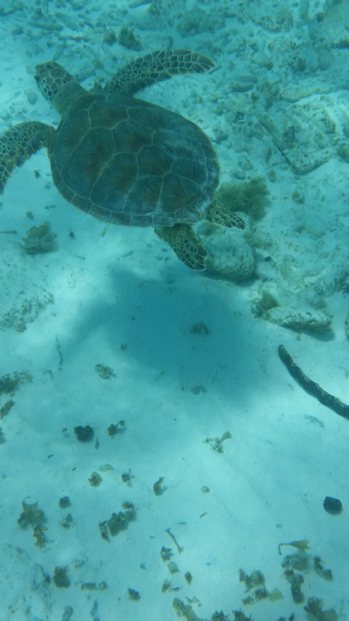 20160820_113439.jpg