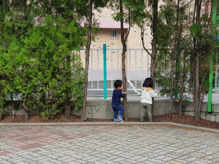 20180623_073250.jpg