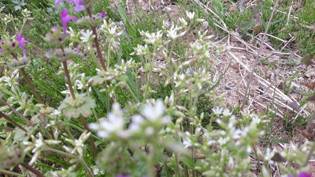 20200501_110128.jpg