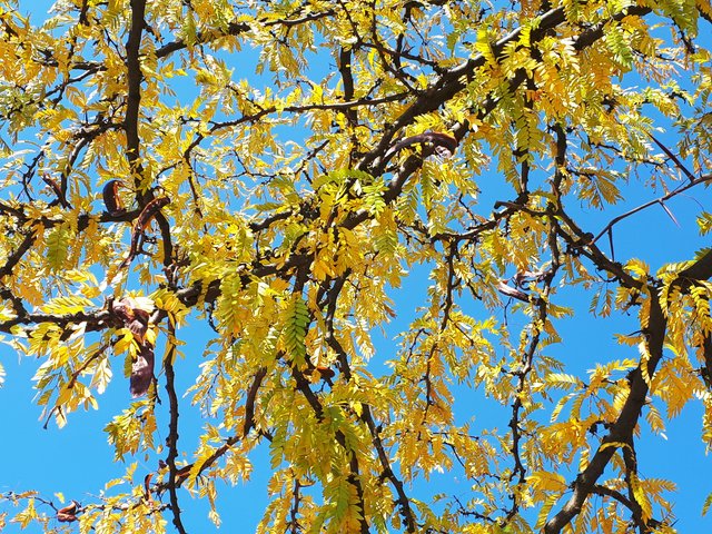 20181007_110319.jpg