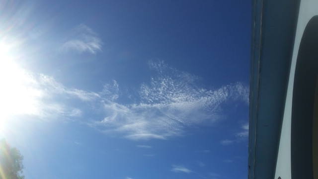 20180125_085113.jpg