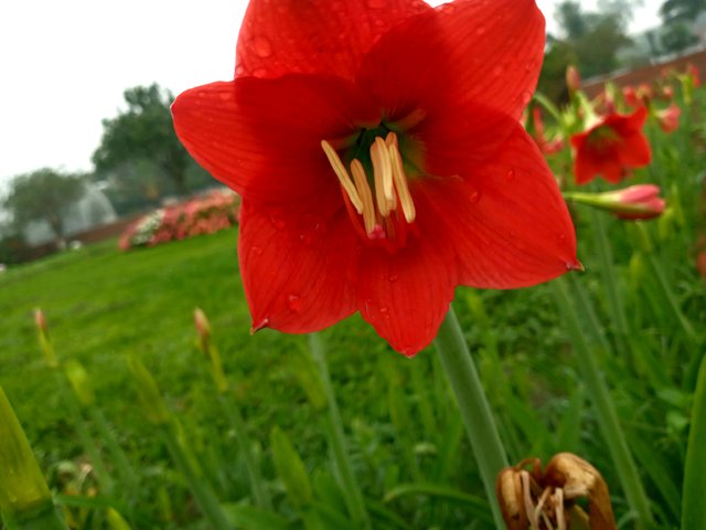 20230326_070614.jpg