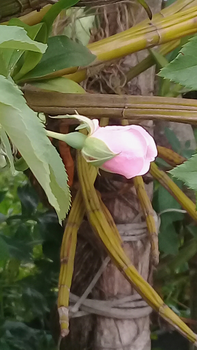 20180617_174902.jpg
