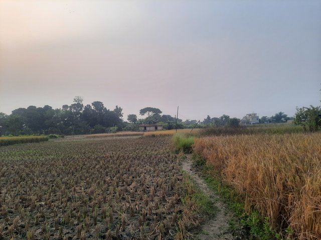 20241126_160657.jpg