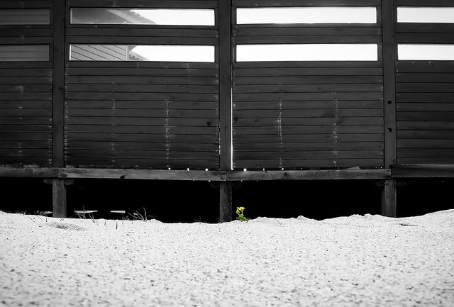 P1720580-alt-WE.png