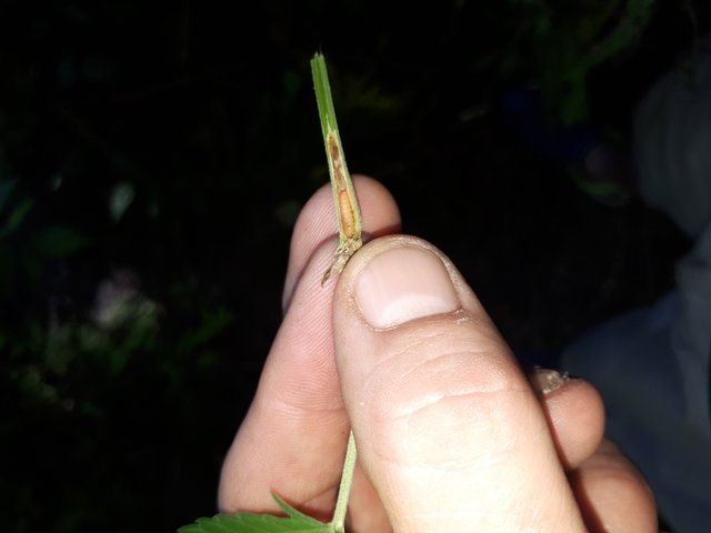 20180907_143750.jpg