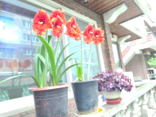 20210516_175808.jpg
