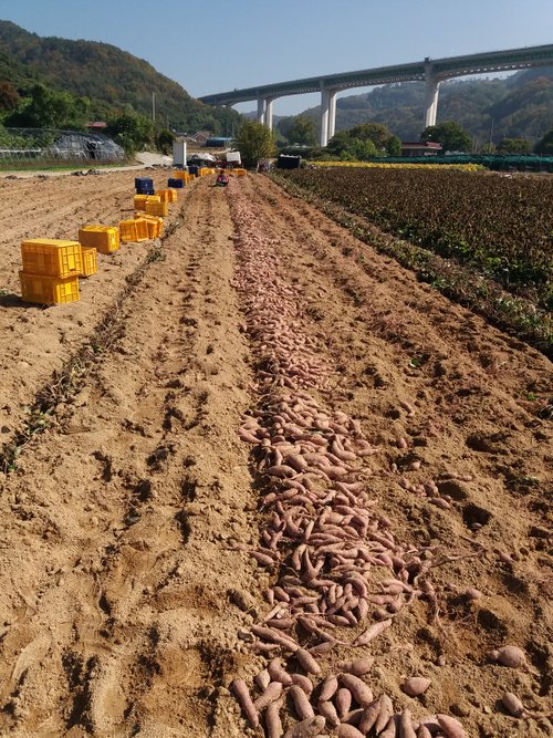 20181020_121245.jpg