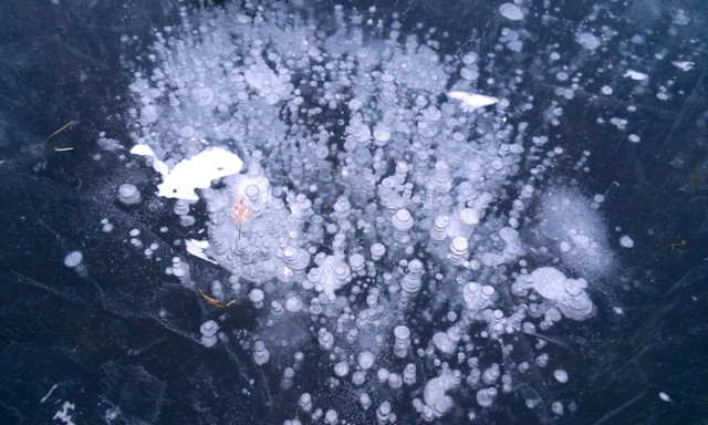20170125_161920.jpg