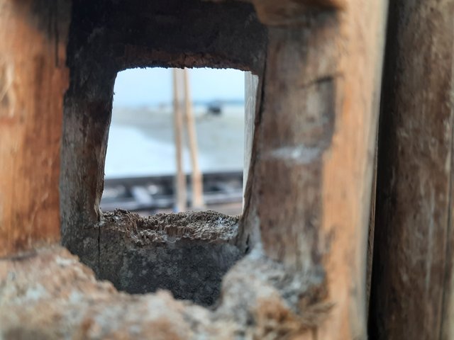 20220425_175405.jpg
