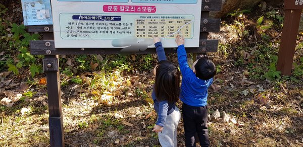 20181023_112333.jpg