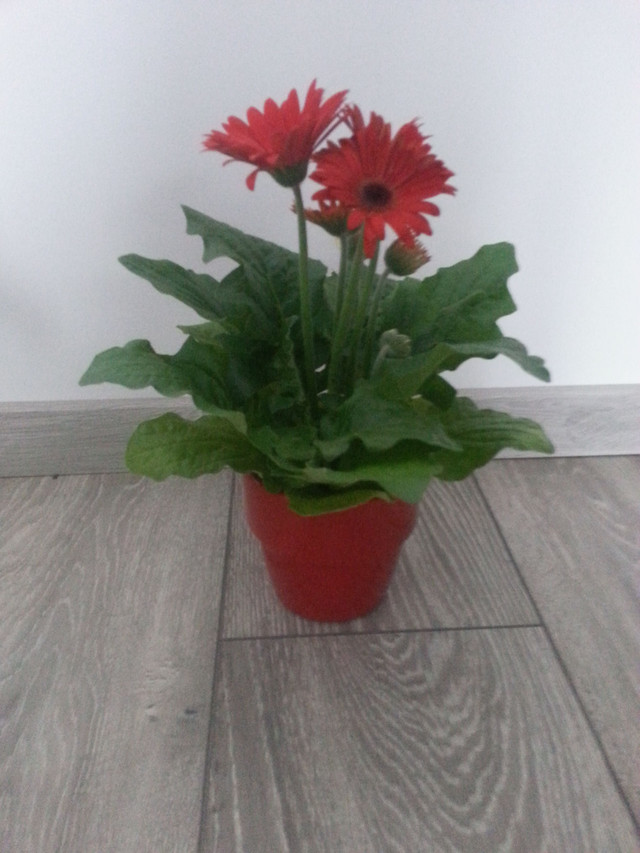 20180518_080239.jpg