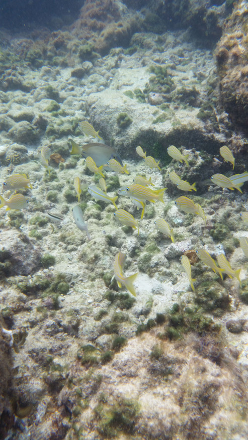 20160819_100935.jpg