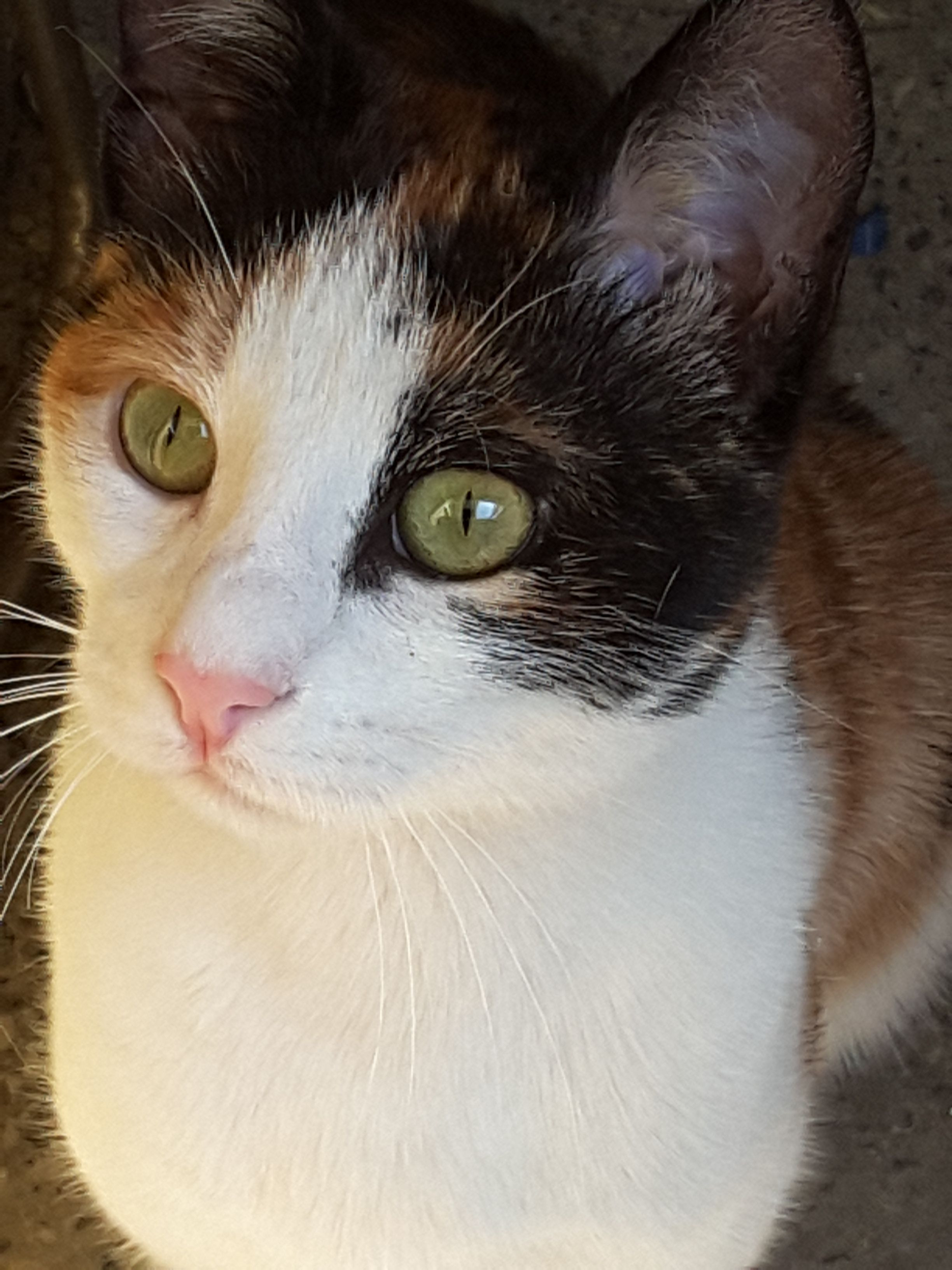 20180414_135426.jpg