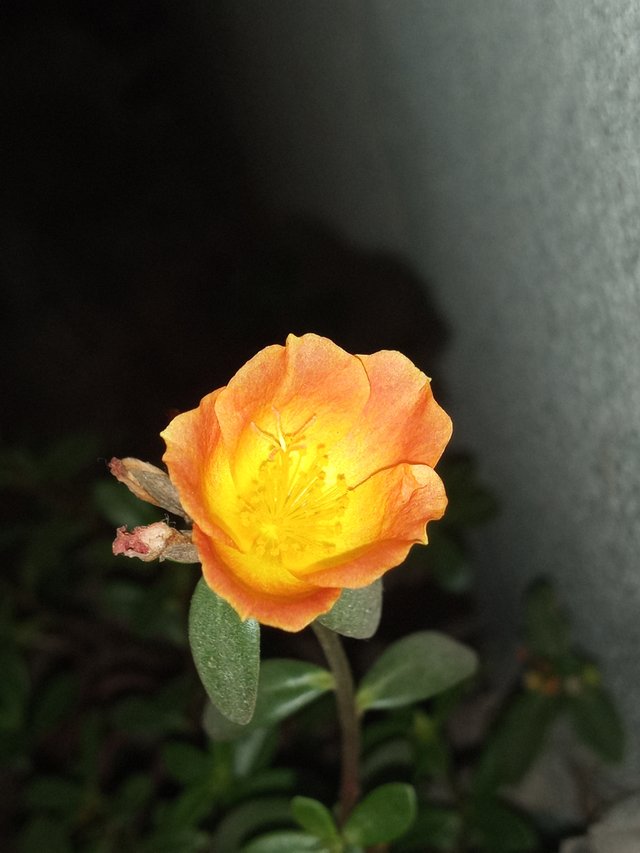20230315_101459.jpg
