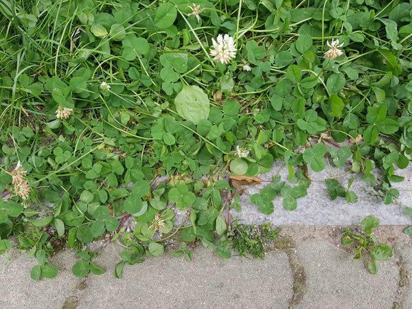 20180529_162640.jpg