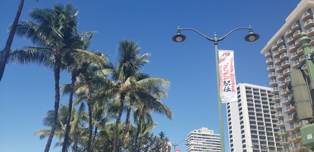 20190303_123612.jpg