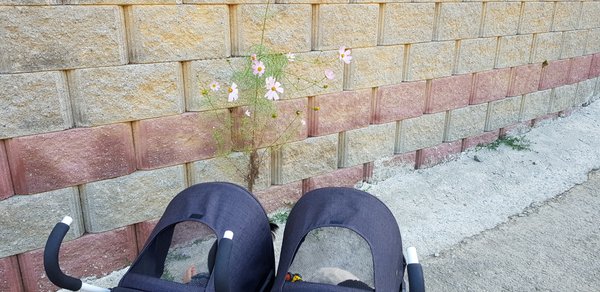 20181002_163231.jpg