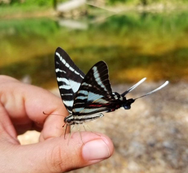 20180606_155913.jpg