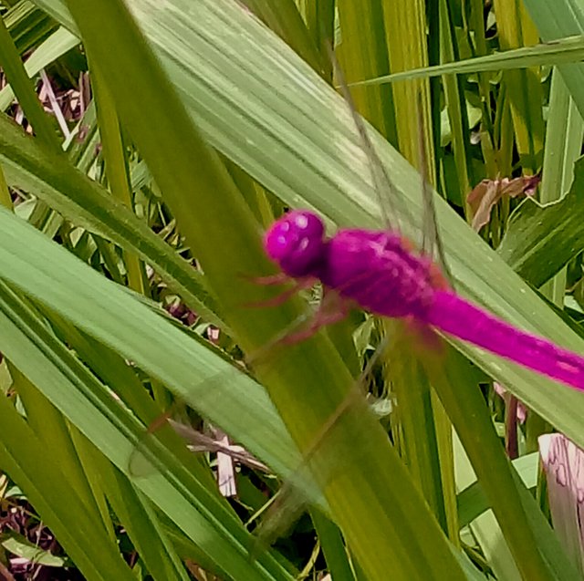 20180923_140022.jpg
