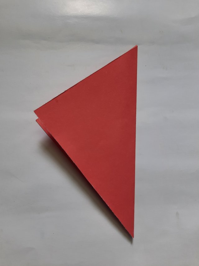 20220312_094305.jpg