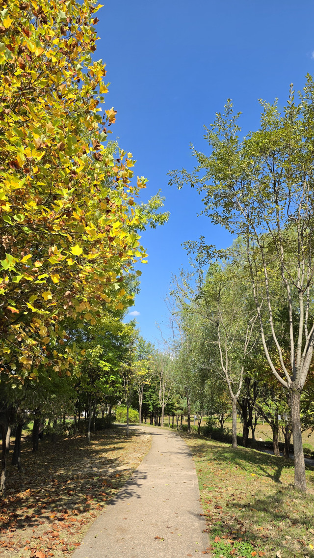 20261021_123800.jpg