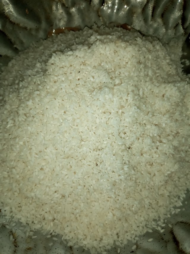20220801_141342.jpg