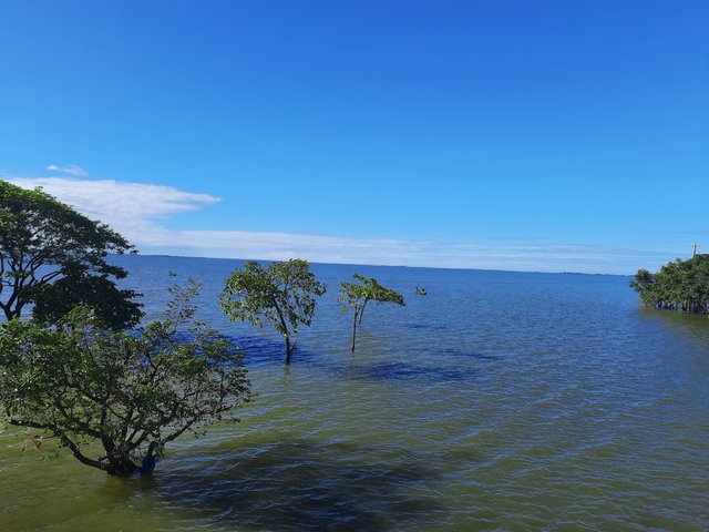 20220811_074902.jpg