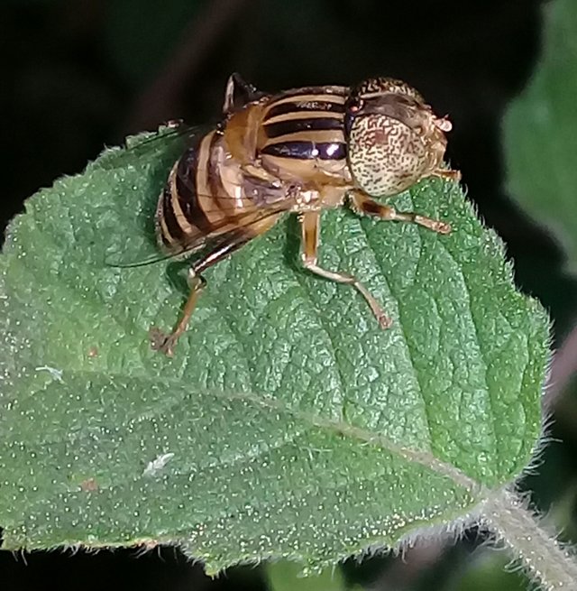 20180904_180708.jpg