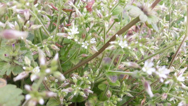 20200501_110156.jpg