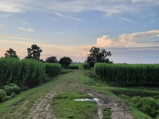 20220703_184143.jpg
