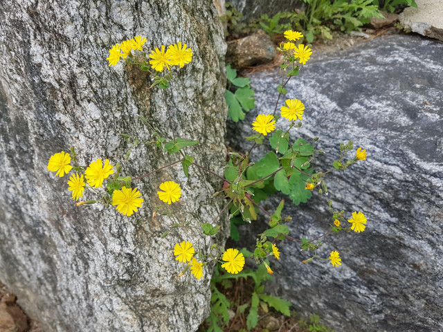 20180520_101715.jpg