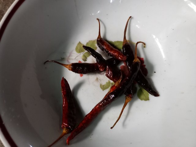 20220704_135758.jpg