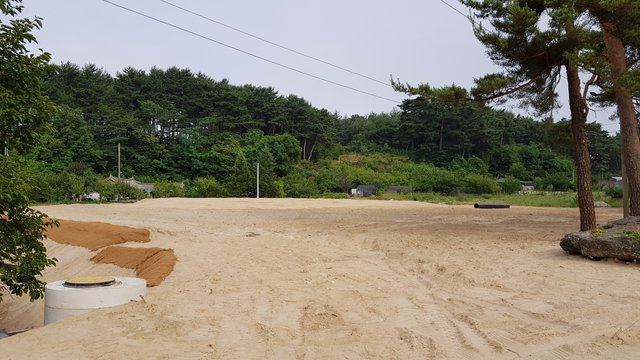 20200623_165848.jpg