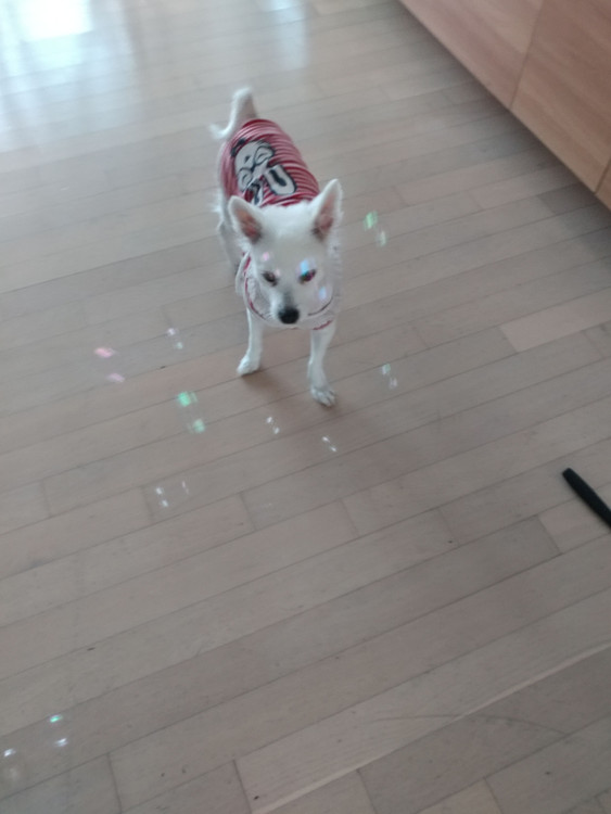 20170925_175016.jpg