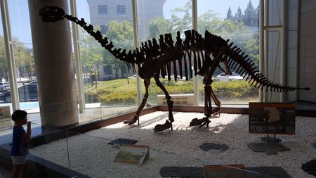 20180801_111423.jpg