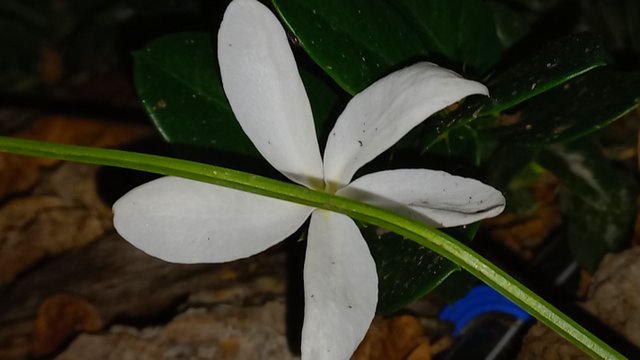 20230314_014932.jpg