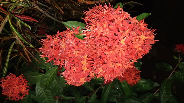 20180730_230154.jpg