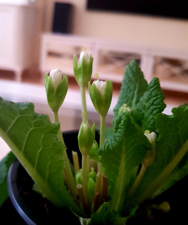20190114_114404.jpg