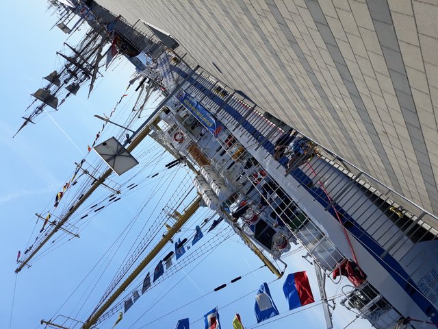 20180609_151751.jpg