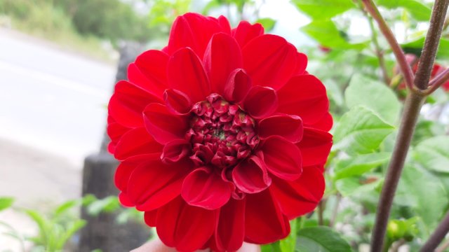 20191021_084751.jpg