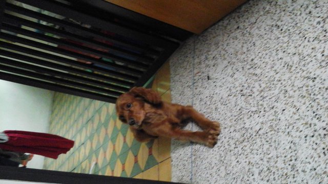 20160501_153154.jpg